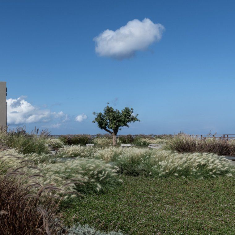 Rectangle_62_M2zAd7R.jpg.760x760_q85_crop-50 50_upscale.jpg